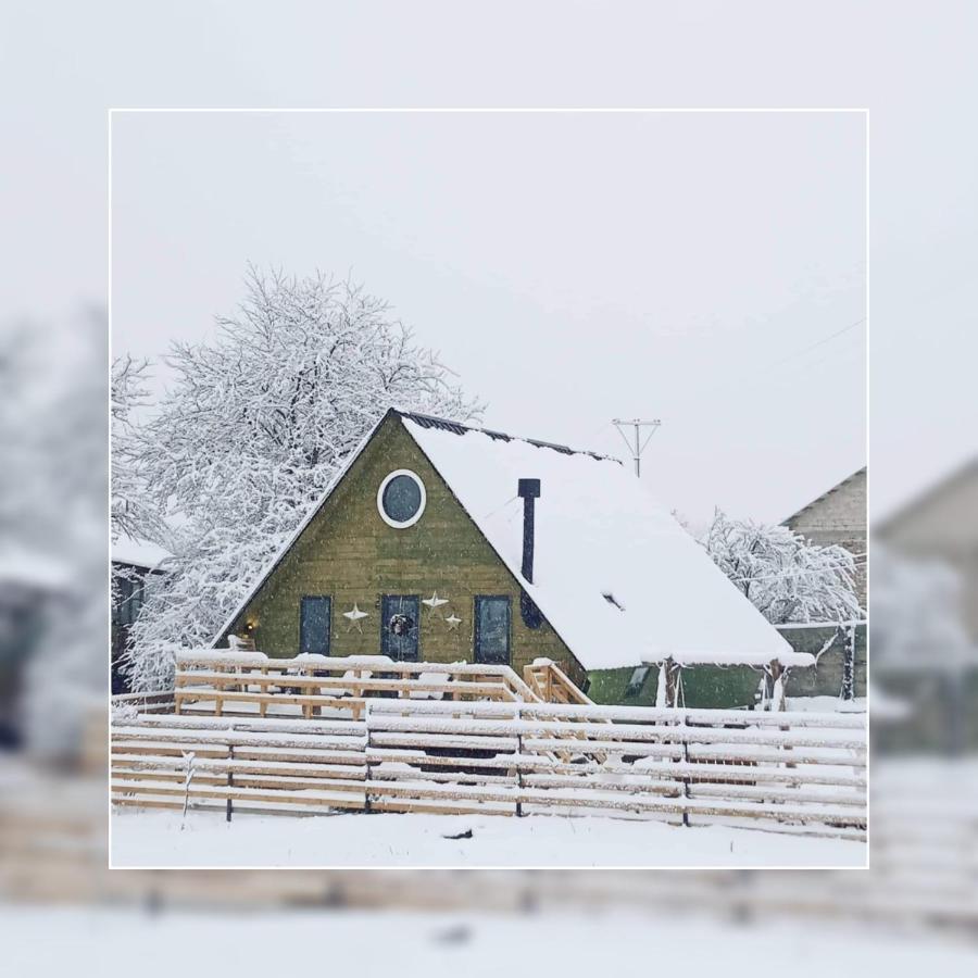Wooden Cottage "Green House" In Bakuriani Exterior foto